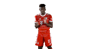Happy Dance Sticker by FC Bayern Munich