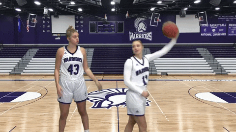 Basketball Warriors GIF by WinonaStateATH