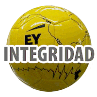 Lima 2019 Panamericanos Sticker by Medialab