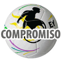 Lima 2019 Panamericanos Sticker by Medialab