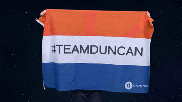 AVROTROS eurovision holland flags ned GIF