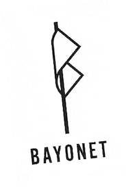 Beach Fossils Indie Sticker by Bayonet Records