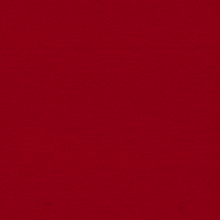 Go Cards Birdie GIF by Louisville Cardinals