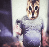 Cat Mei GIF
