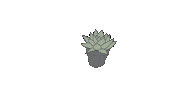 Flowers Plant Sticker