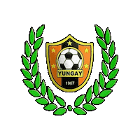 Futbolsanjavier Sticker