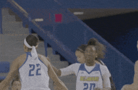 ncaa sports basketball GIF by Delaware Blue Hens