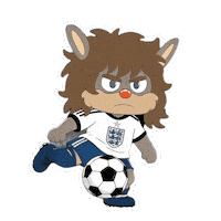 World Cup Football Sticker