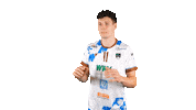 Sport Bundesliga Sticker by WWK Volleys Herrsching