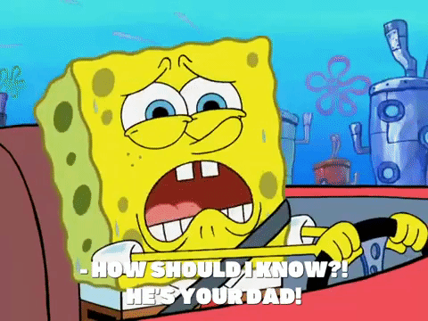 season 8 GIF by SpongeBob SquarePants