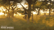 Tom Cruise Mi8 GIF by Mission: Impossible