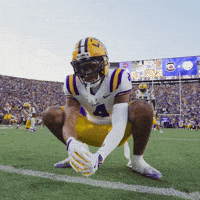 Lsu Football GIF by LSU Tigers