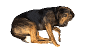 Nunu Sleepydog Sticker by ccvnola
