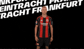 Hand Aufs Herz Bundesliga GIF by Eintracht Frankfurt