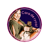 pambraga pambraga pam braga Sticker