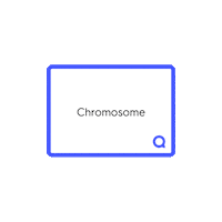 Study Sticker by Quizlet