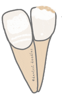 Teeth Tooth Sticker