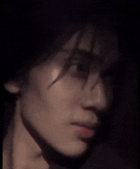 Cat Wow GIF