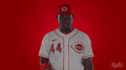 GIF by Cincinnati Reds