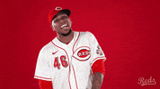 GIF by Cincinnati Reds