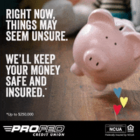 profedcreditunion  GIF