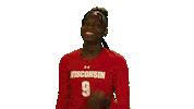 Celebrate Wisconsin Volleyball Sticker by Wisconsin Badgers