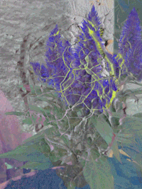 GIF by A.M.T.G. G.G.