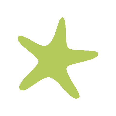 Star Sticker by FISCHER
