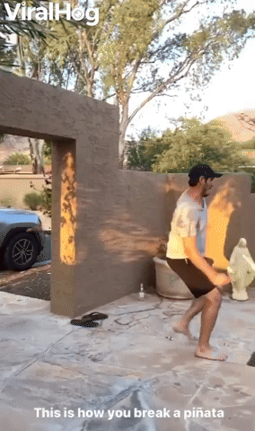 Dude Stylishly Takes Out Piñata