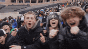 University Of Colorado Sko Buffs GIF by CUBoulder
