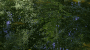 water waves GIF by Living Stills