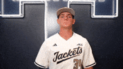 Georgia Tech Baseball GIF by Georgia Tech Yellow Jackets