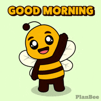 Whats Up Hello GIF by Plan Bee Studios