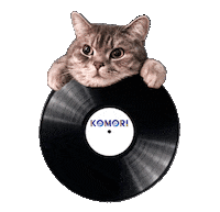 Cat Record Sticker by sugarbitz