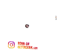 Pammyboi Sticker by BORN ON INSTAGRAM