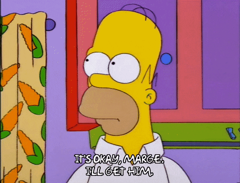 homer simpson episode 3 GIF