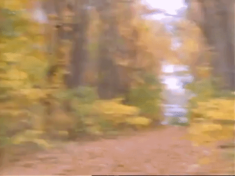 season 1 GIF