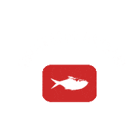 Watch Now New Video Sticker by redfishstream