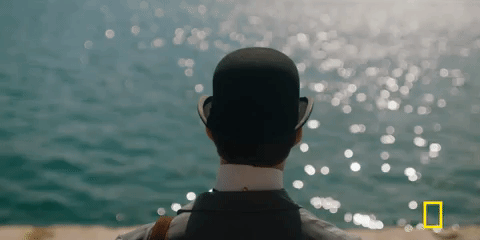 Genius Picasso GIF by National Geographic Channel