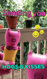 WandaPetunia kisses Hogs hugs and kisses wanda petunia GIF