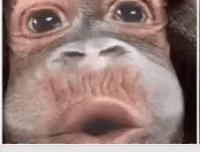 haters GIF