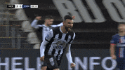 GIF by FOX Sports