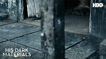 HisDarkMaterials hbo polar bear his dark materials golden compass GIF