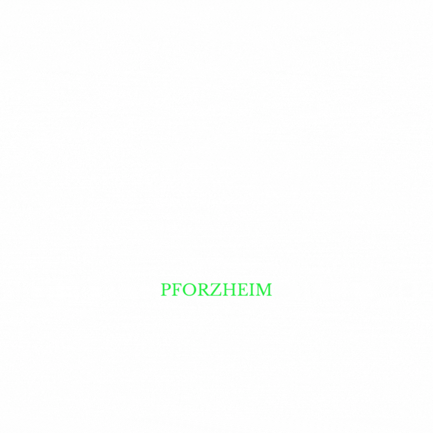 jobbörse pforzheim