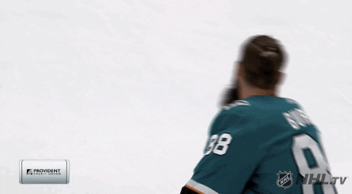 Ice Hockey Spinning GIF by NHL