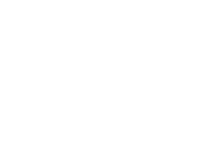 New Year Новый Год Sticker by fondsvet