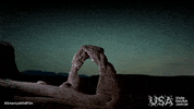 america wild film GIF by Visite os USA