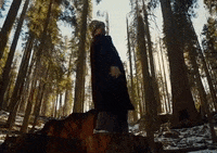 Ditto GIF by Aries