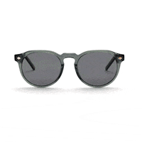 opolisoptics sunglasses optics opolis GIF
