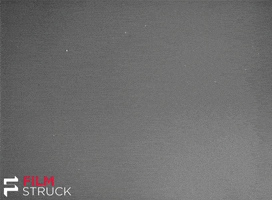 staring classic film GIF by FilmStruck